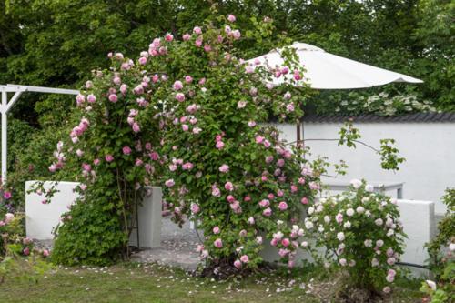 Vallby Cottage Enköping Exterior foto